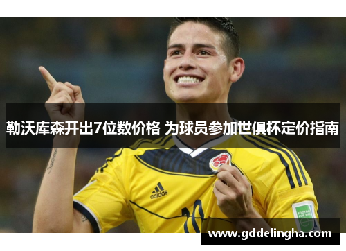 勒沃库森开出7位数价格 为球员参加世俱杯定价指南